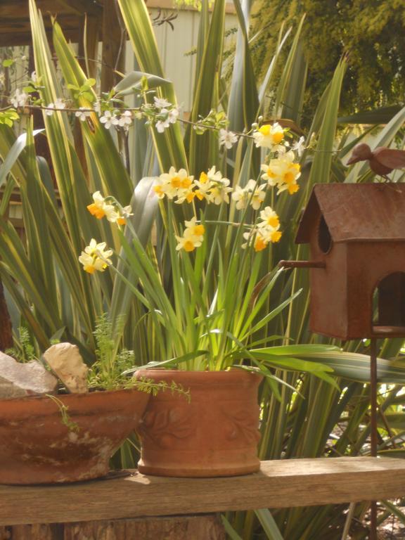 Astley Cottage Daylesford Buitenkant foto