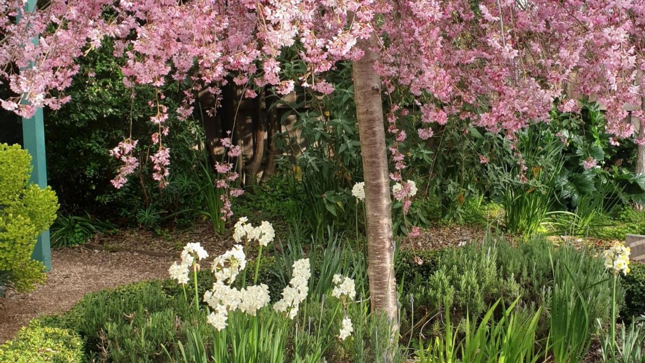 Astley Cottage Daylesford Buitenkant foto